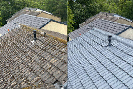 Roof Restoration Project